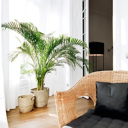 Andes Apartmán Màlaga